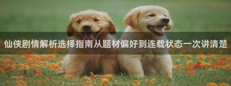 梦漫漫画更新大全