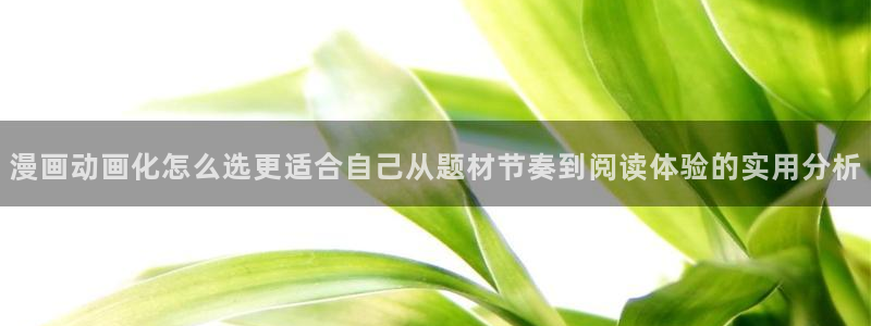 梦漫漫画漫画查询