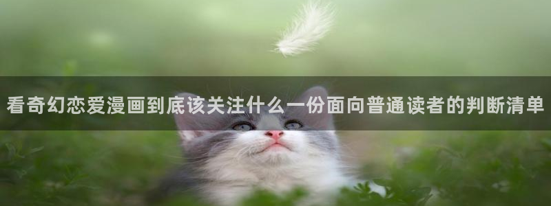 梦漫漫画软件指南