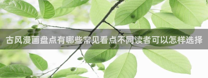 梦漫漫画作品推荐